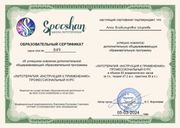 Анна Ширяева диплом