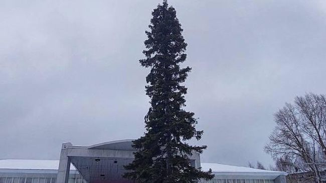 Новогодняя ёлка, установленная в Березовском Кемеровской области