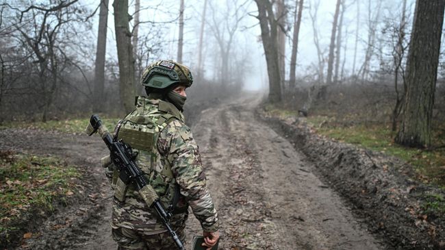 ВС России за сутки уничтожили более 30 военных ВСУ в Доброполье