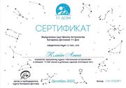 Диплом Анны Кляйн Диплом Анны Кляйн