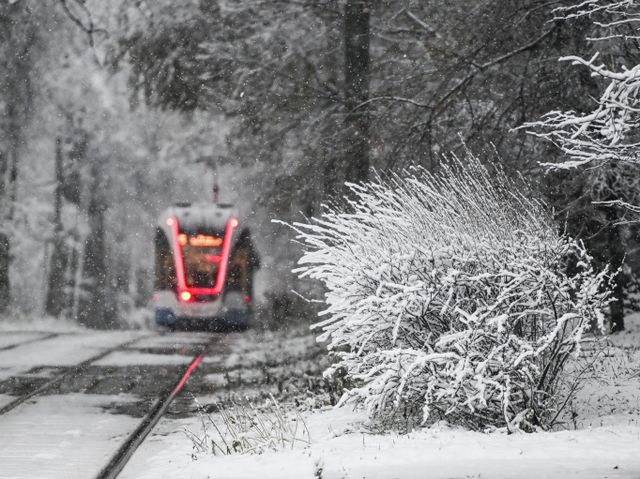 Первый снег в Москве