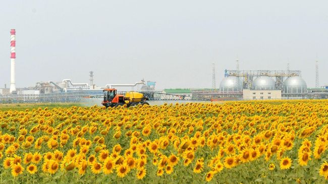 Группа ФосАгро