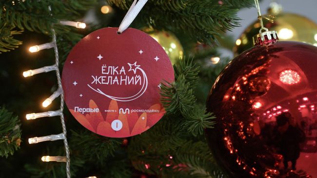Всероссийская новогодняя благотворительная акция Елка желаний в Государственной думе России