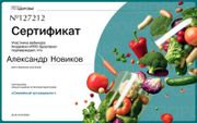 Диплом Александра Новикова 