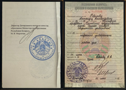 Диплом Александра Новикова 