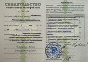 Диплом Александра Новикова 
