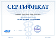 Диплом Александра Новикова 