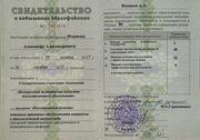 Диплом Александра Новикова 
