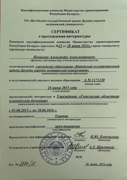 Диплом Александра Новикова 