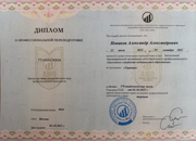 Диплом Александра Новикова 