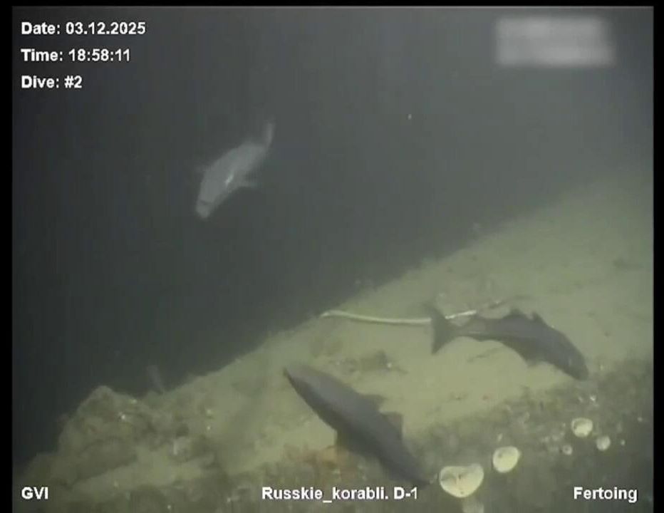 Подводная съемка подводной лодки Декабрист, лежащей на глубине 256 метров Подводная съемка подводной лодки Декабрист, лежащей на глубине 256 метров - РИА Новости, 1920, 13.12.2025