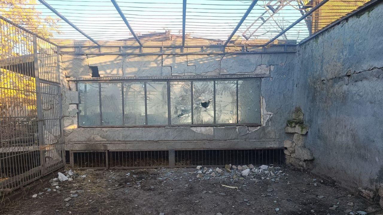 ВСУ с помощью дронов атаковали зоопарк в Васильевском районе Запорожской области ВСУ с помощью дронов атаковали зоопарк в Васильевском районе Запорожской области - РИА Новости, 1920, 20.12.2025