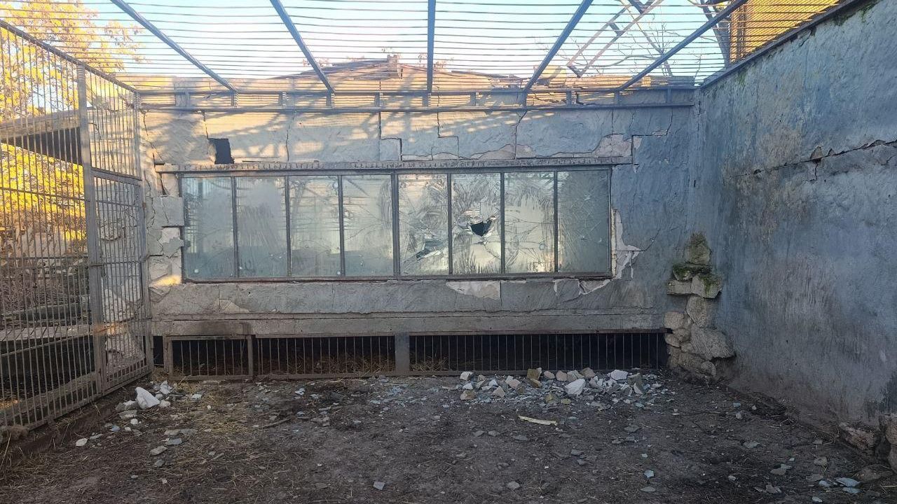 ВСУ с помощью дронов атаковали зоопарк в Васильевском районе Запорожской области ВСУ с помощью дронов атаковали зоопарк в Васильевском районе Запорожской области - РИА Новости, 1920, 13.12.2025