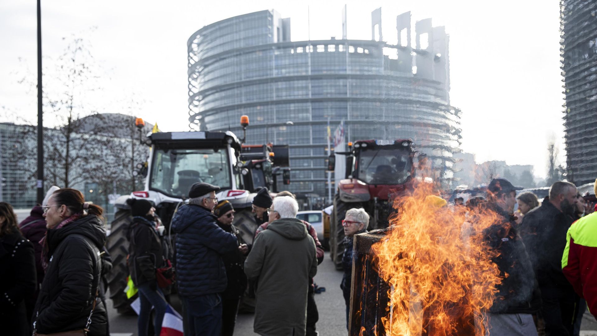 Протест фермеров перед зданием Европейского парламента в Страсбурге  - РИА Новости, 1920, 17.12.2025