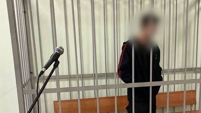 Подозреваемый в покушении на убийство своих бабушки и дедушки в Ленинградской области