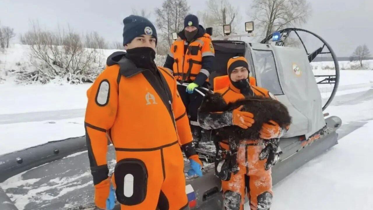 Спасатели спасают животных из озера Узеть в Бирском районе в Уфе - РИА Новости, 1920, 21.12.2025