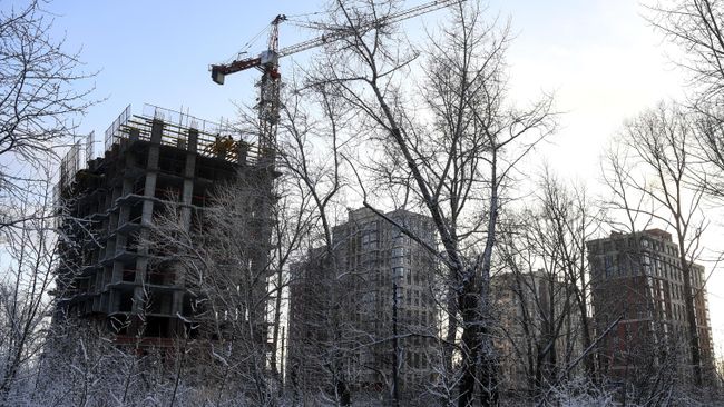 Зима в Новосибирской области