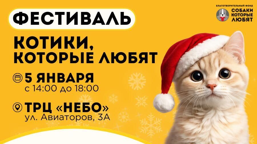 Фестиваль-пристройство Котики, которые любят - РИА Новости, 1920, 25.12.2025