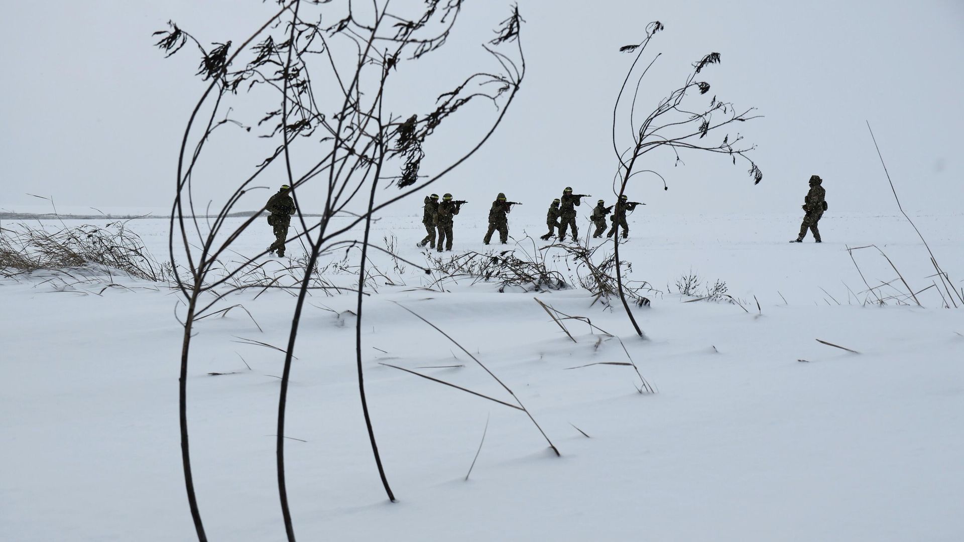 Украинские военные - РИА Новости, 1920, 04.02.2026