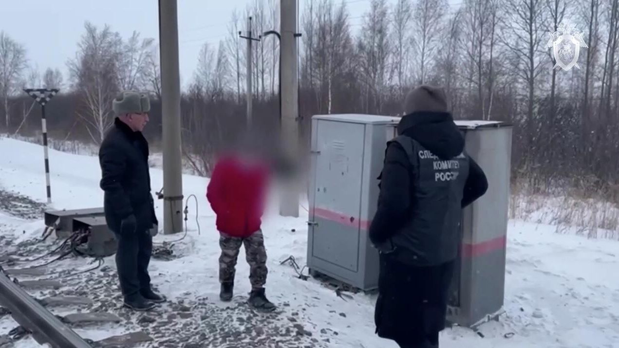 В Новосибирской области задержали подростков за поджог релейного шкафа - РИА Новости, 1920, 15.01.2026