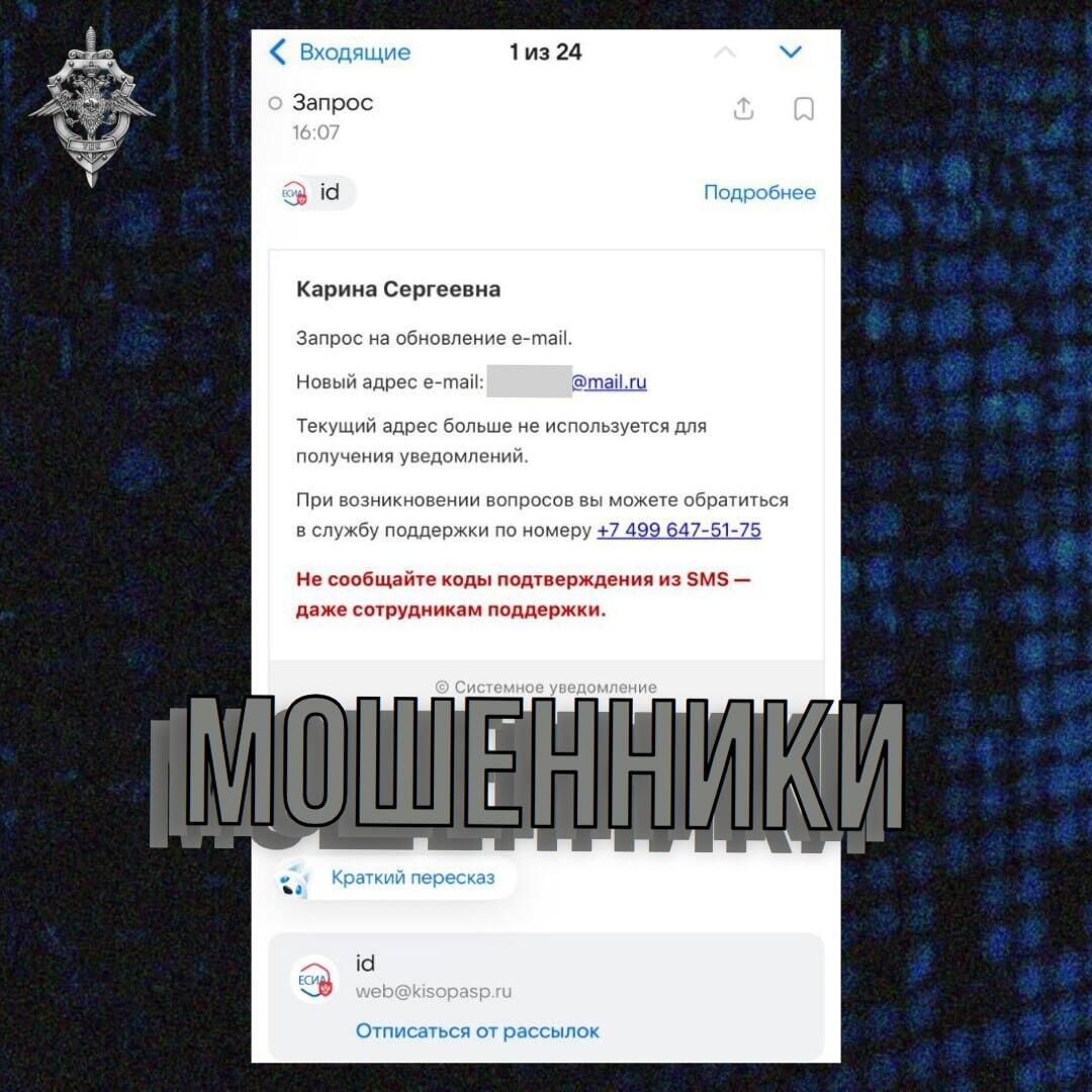 В МВД показали рассылку мошенников с запросом на обновление почты - РИА Новости, 1920, 19.01.2026