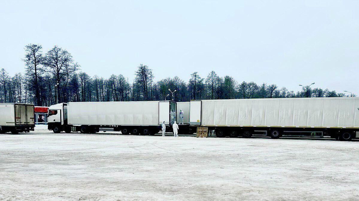 Передача тел погибших военных Украине Передача тел погибших военных Украине - РИА Новости, 1920, 29.01.2026