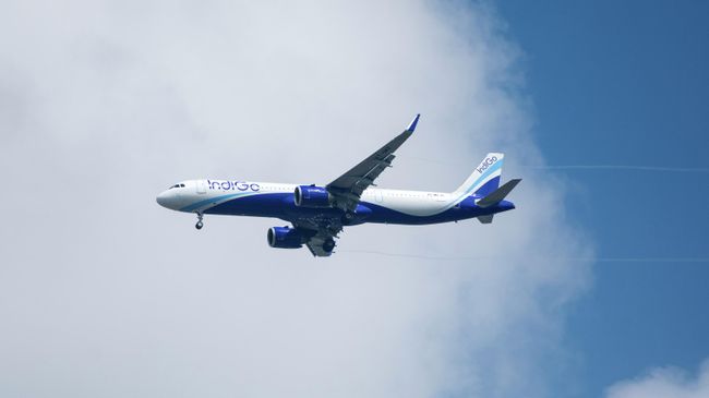 Самолет авиакомпании Indigo
