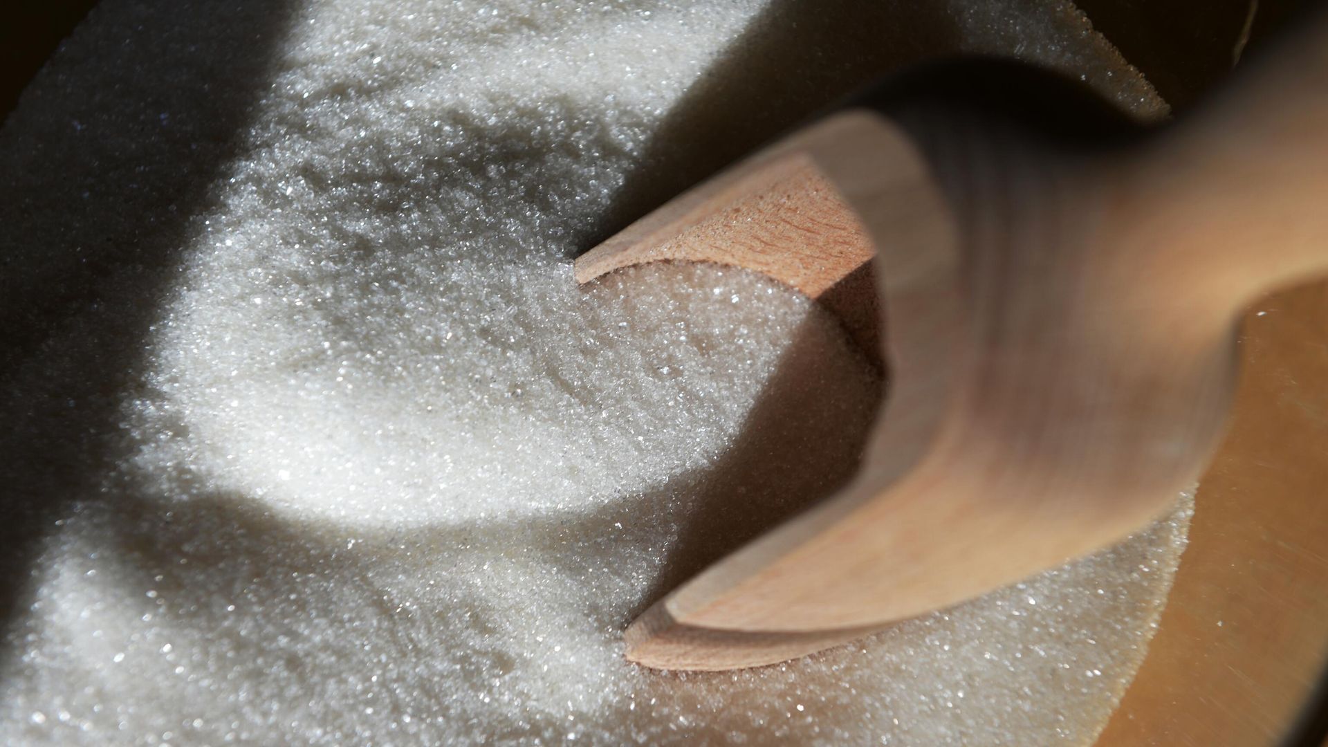 Сахар Сахар - РИА Новости, 1920, 18.08.2026