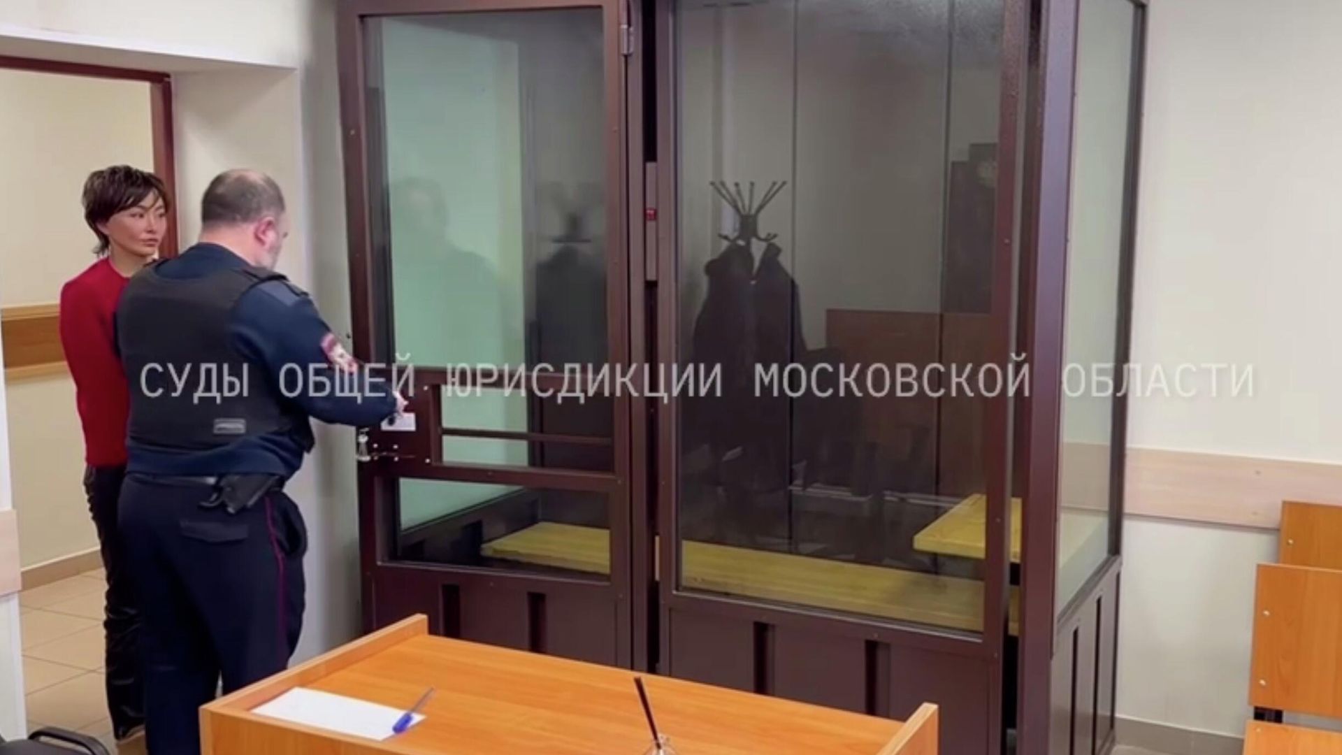 Алия Галицкая в Истринском городском суде. Кадр видео Алия Галицкая в Истринском городском суде. Кадр видео - РИА Новости, 1920, 06.02.2026