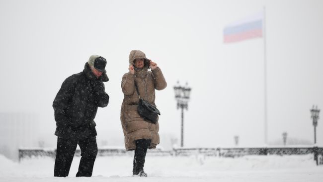 Прохожие во время снегопада в Парке Победы на Поклонной горе в Москве