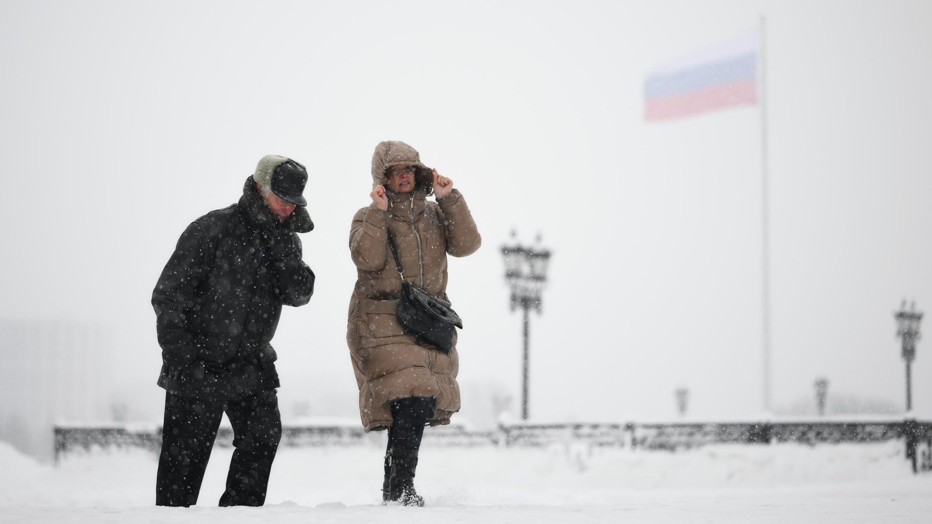 Прохожие во время снегопада в Парке Победы на Поклонной горе в Москве Прохожие во время снегопада в Парке Победы на Поклонной горе в Москве - РИА Новости, 1920, 13.02.2026