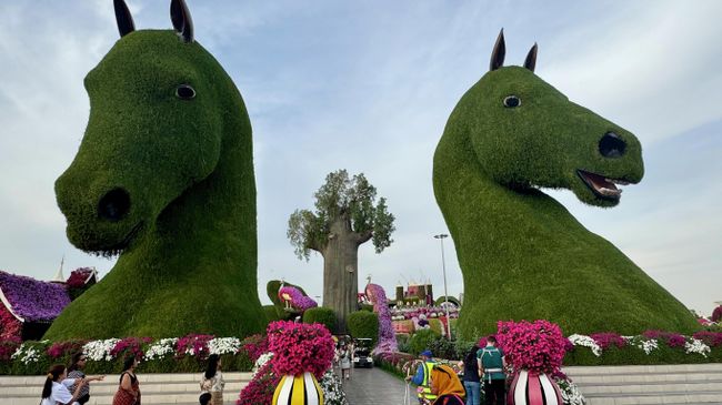 Miracle Garden, Дубай Miracle Garden, Дубай