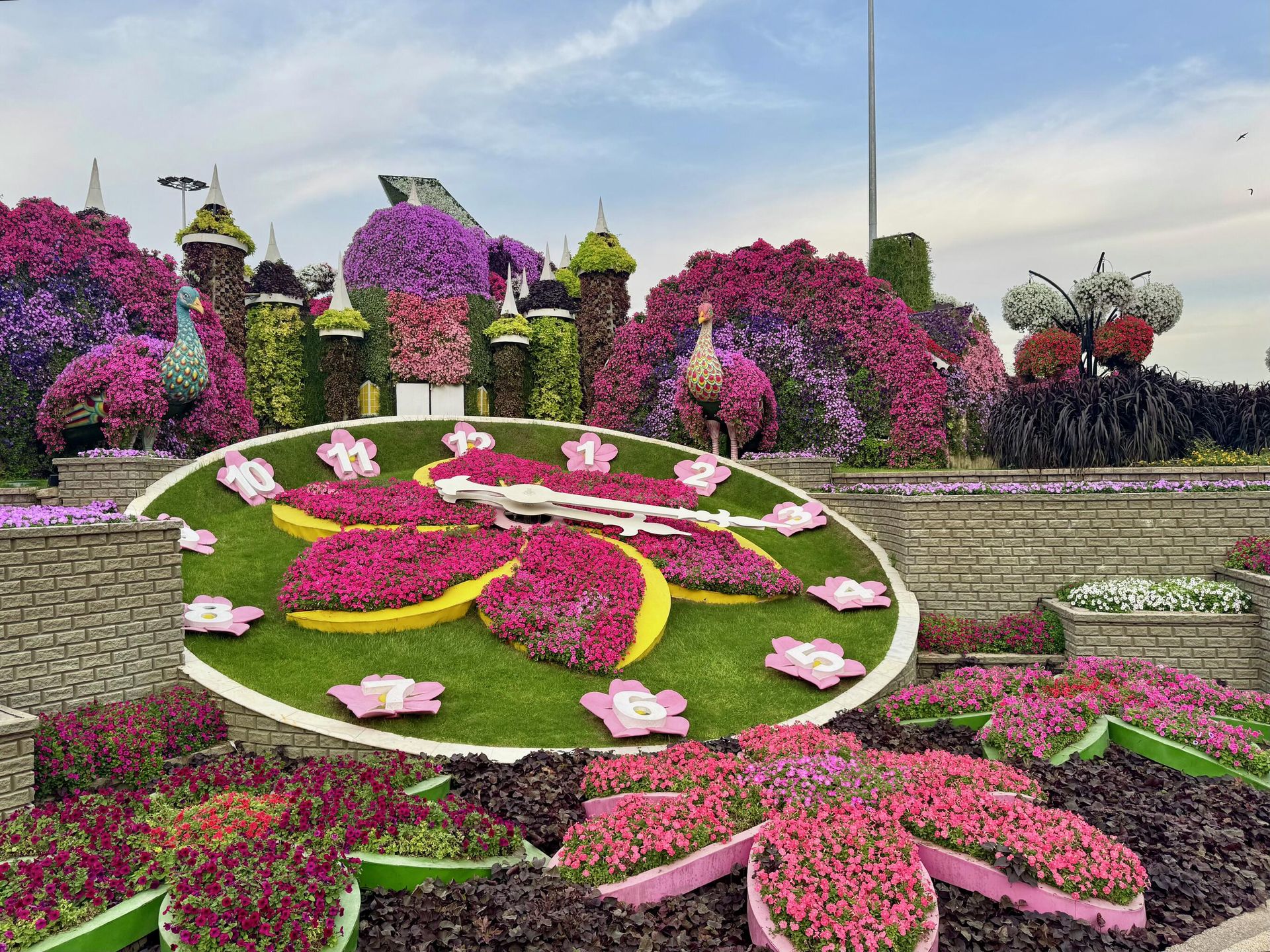 В саду Miracle Garden, Дубай В саду Miracle Garden, Дубай - РИА Новости, 1920, 20.08.2026