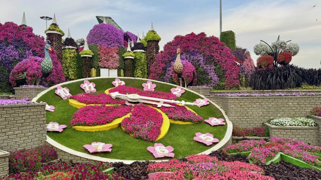 В саду Miracle Garden, Дубай В саду Miracle Garden, Дубай