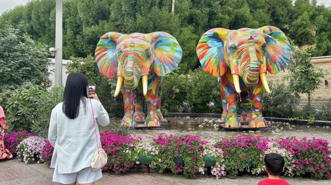 В саду Miracle Garden, Дубай В саду Miracle Garden, Дубай