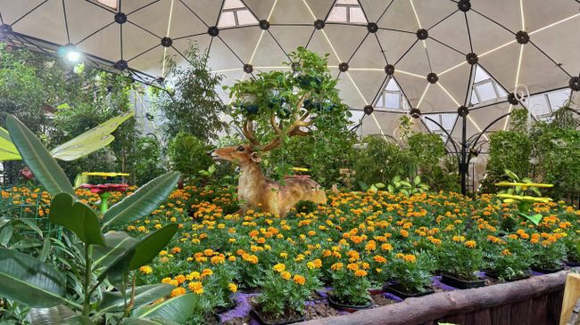 В саду бабочек Dubai Butterfly Garden В саду бабочек Dubai Butterfly Garden