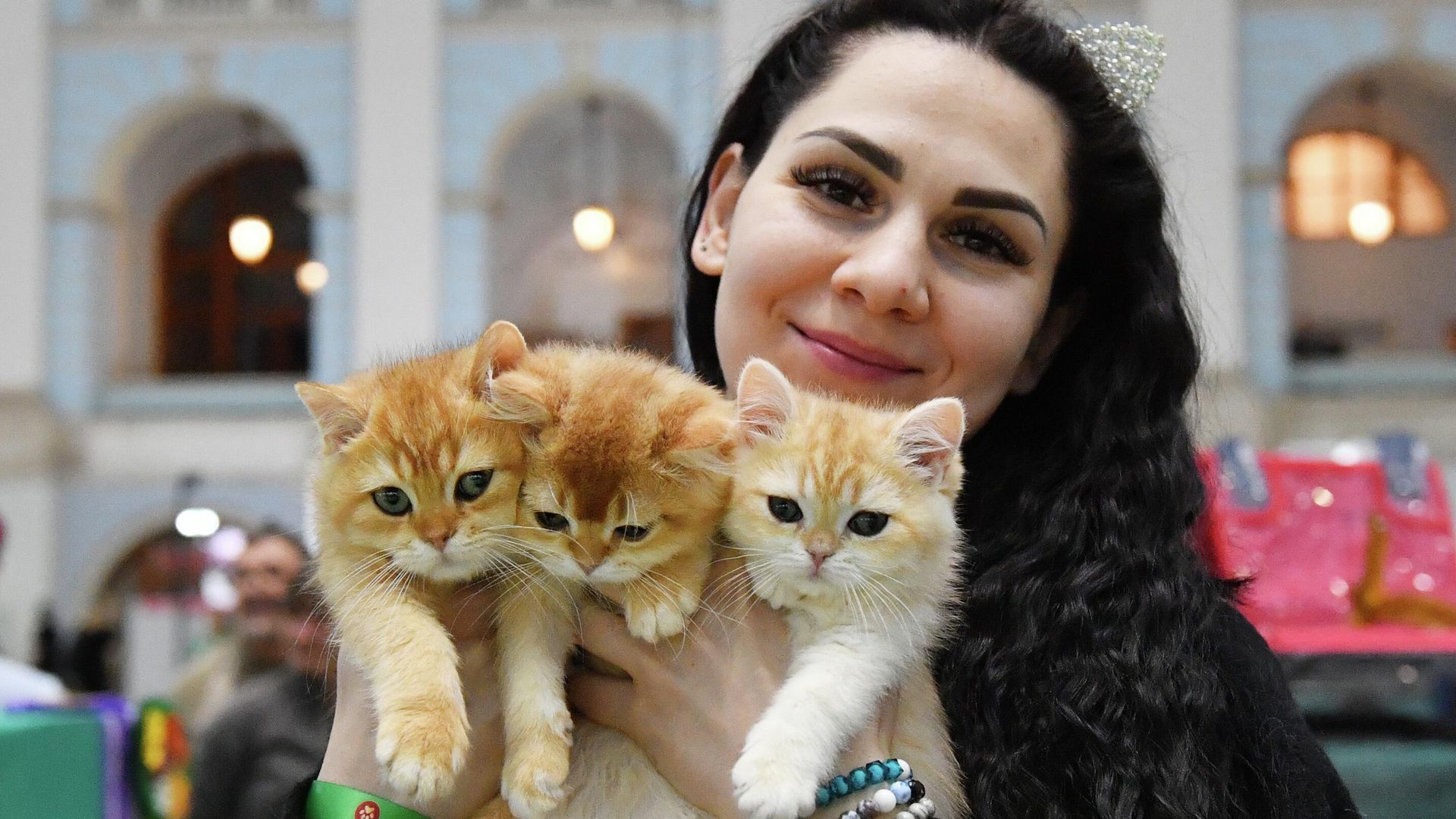 Девушка держит в руках котят британской породы Девушка держит в руках котят британской породы - РИА Новости, 1920, 28.04.2026
