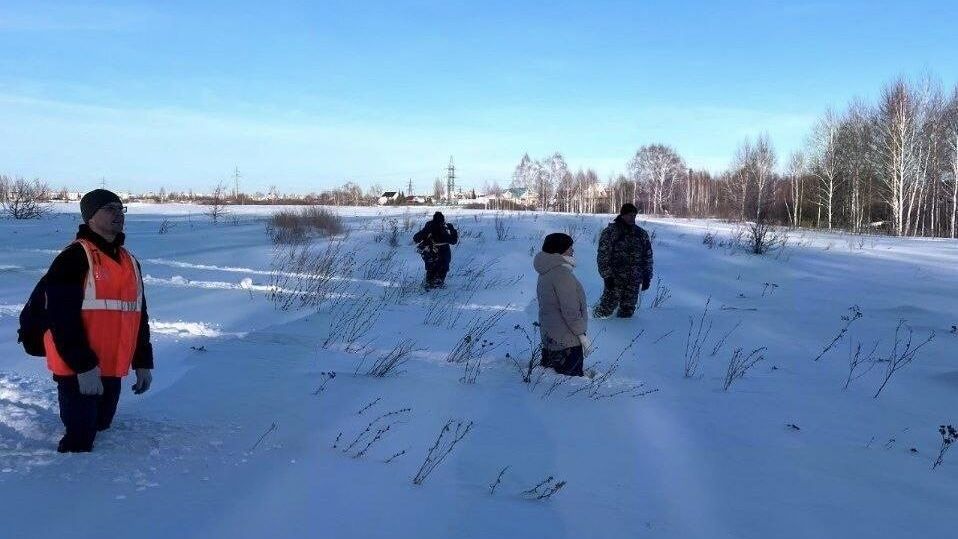 Поиск Елизаветы Овчинниковой в Челябинской области Поиск Елизаветы Овчинниковой в Челябинской области - РИА Новости, 1920, 16.02.2026