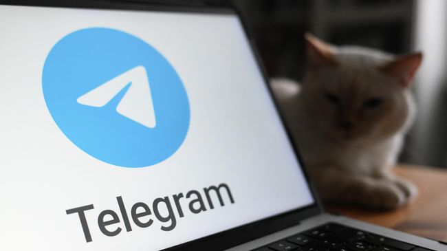 Telegram Web: вход через браузер и что делать, если не грузится