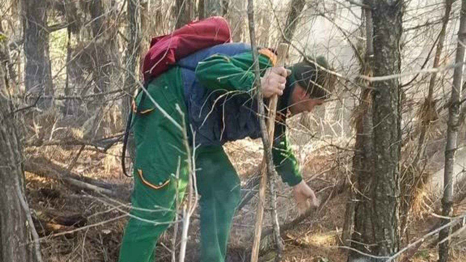 Ликвидация лесного пожара в районе населенного пункта Архипо-Осиповка на Кубани - РИА Новости, 1920, 03.03.2026