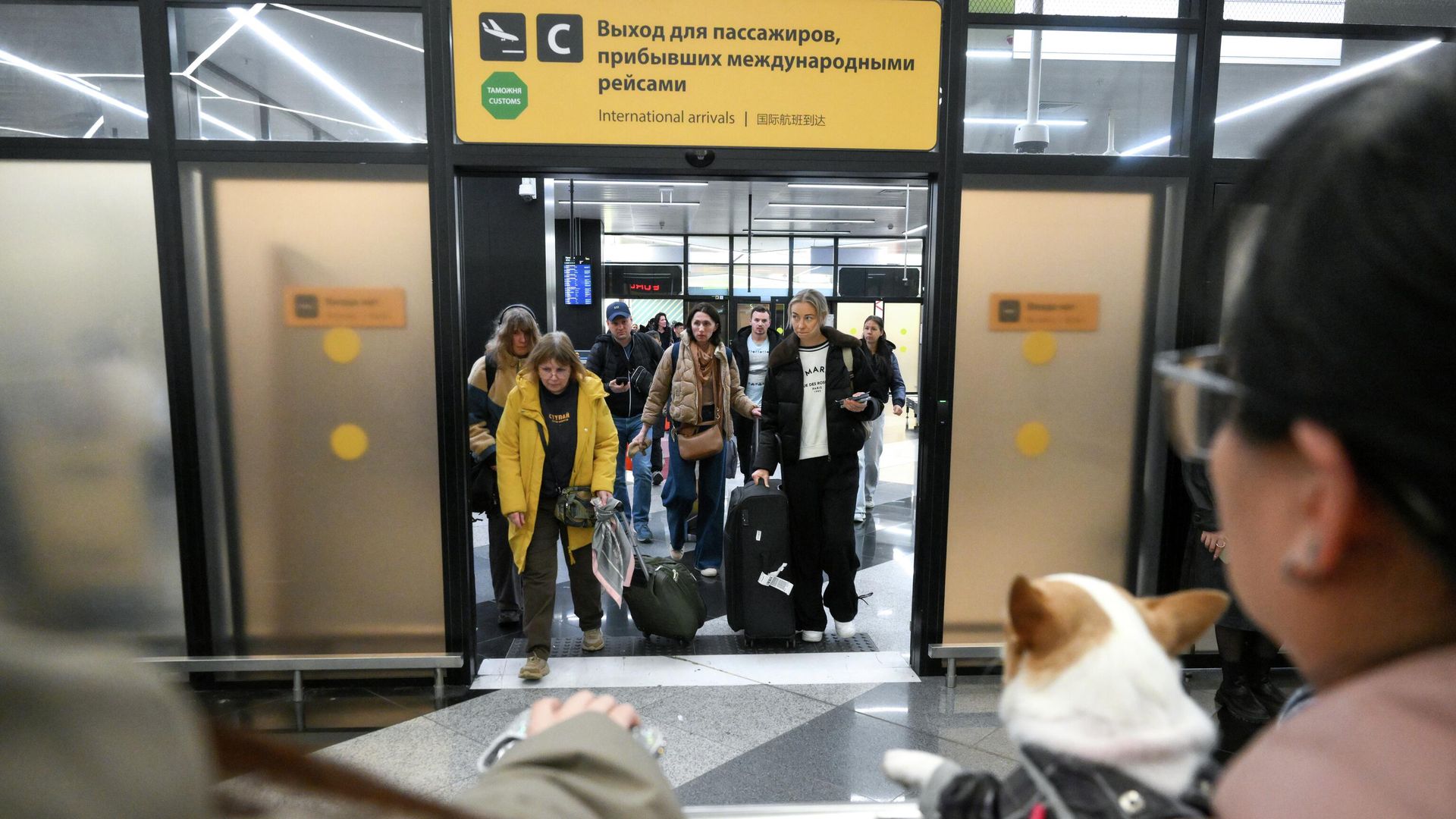 Пассажиры на выходе из зоны прилета международных рейсов в аэропорту Шереметьево в Подмосковье Пассажиры на выходе из зоны прилета международных рейсов в аэропорту Шереметьево в Подмосковье - РИА Новости, 1920, 16.03.2026