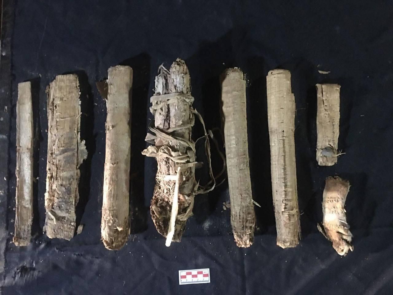 Археологические раскопки гробниц женщин-жриц в некрополе Асасиф на западном берегу Луксора Археологические раскопки гробниц женщин-жриц в некрополе Асасиф на западном берегу Луксора - РИА Новости, 1920, 10.03.2026