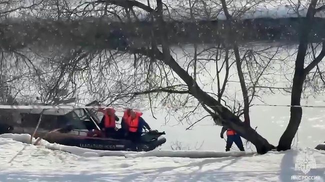 Поисковые работы на месте пропажи детей в Звенигороде Поисковые работы на месте пропажи детей в Звенигороде