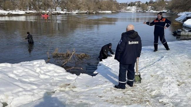 Поиски пропавших подростков в Звенигороде