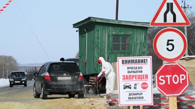 В Новосибирской области ввели режим ЧС из-за вспышки пастереллеза и бешенства у домашнего скота