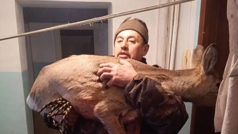 В Красноярском крае спасли запрыгнувшую через окно в квартиру косулю В Красноярском крае спасли запрыгнувшую через окно в квартиру косулю - РИА Новости, 1920, 18.03.2026