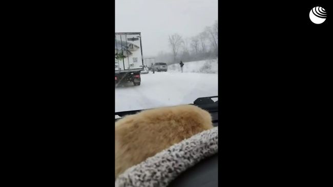 ДТП под Уссурийском ДТП под Уссурийском