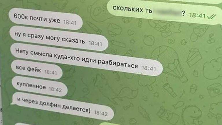 Скриншот переписки с мошенником 