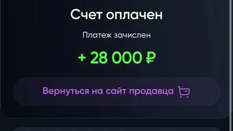 Скриншот переписки с мошенником 