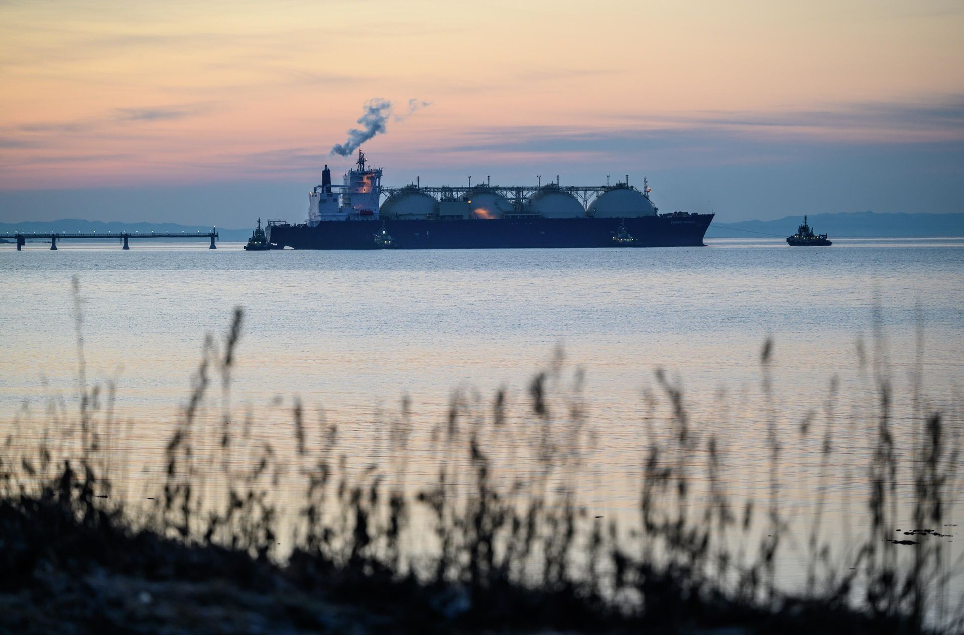 Танкер-газовоз Cygnus Passage в Корсаковском районе Сахалина Танкер-газовоз Cygnus Passage в Корсаковском районе Сахалина - РИА Новости, 1920, 09.06.2026
